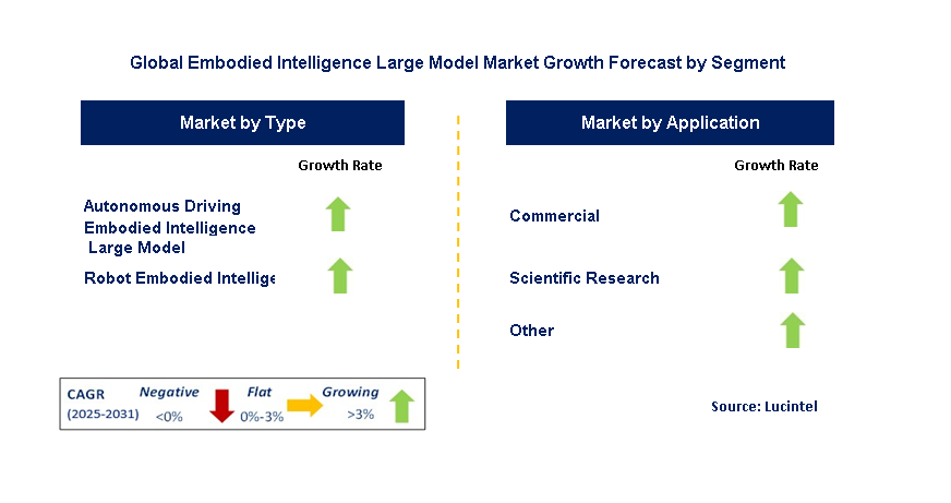 Embodied Intelligence Large Model Market by Segment